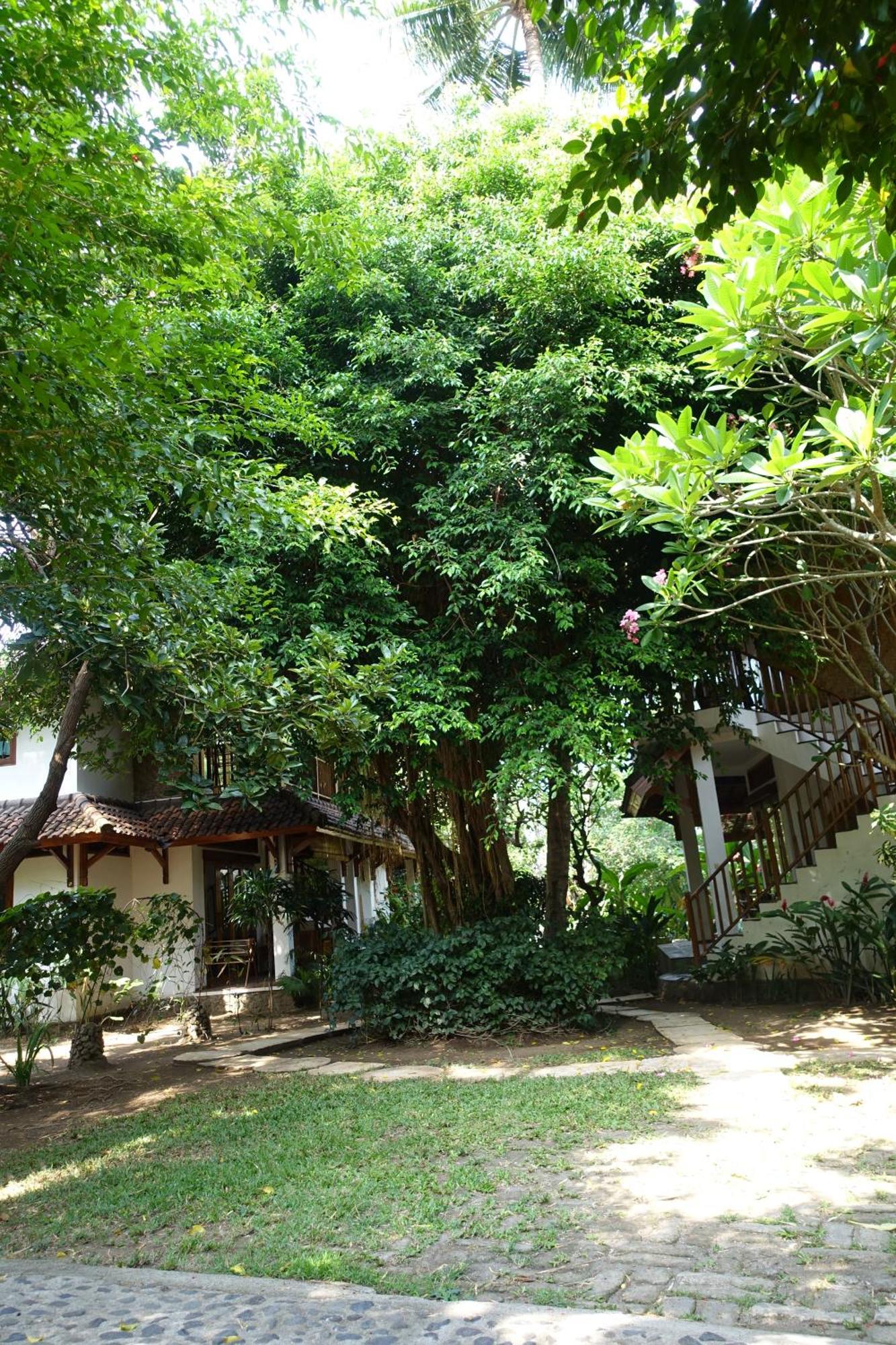 Villa Jati Mangsit 셍기기 외부 사진